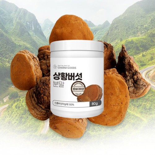 자연산 상황버섯 분말 80g 베타글루칸 다당류