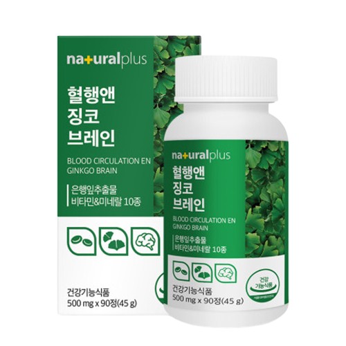 징코 브레인 은행잎추출물 영양제 약3개월분 기억력 혈행 개선 징코빌로바 플라보놀배당체