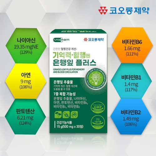 혈액순환 징코플러스 영양제 은행잎추출물 30정, 3개