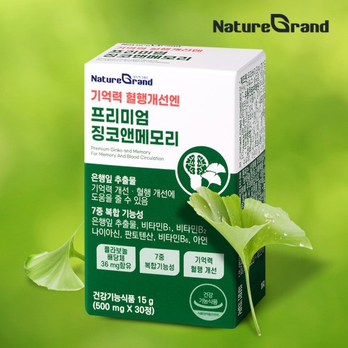 징코플러스 은행잎추출물 영양제 기억력 혈액순환 약3개월